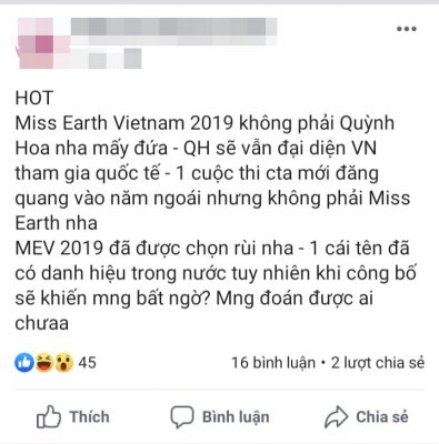 ky duyen se dai dien viet nam thi hoa hau trai dat 2019? hinh anh 2