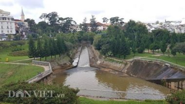 da lat ngap lich su do phong trao “lam nong trong nha kinh”? hinh anh 3