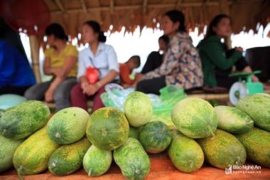 doc dao o mien tay xu nghe: khu cho "nguoi ban nhieu hon ke mua" hinh anh 4