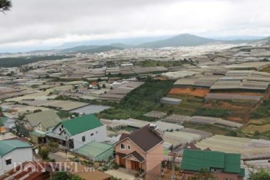 da lat ngap lich su do phong trao “lam nong trong nha kinh”? hinh anh 1