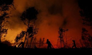 bau troi bat ngo chuyen sang mau do mau dang so o indonesia hinh anh 4