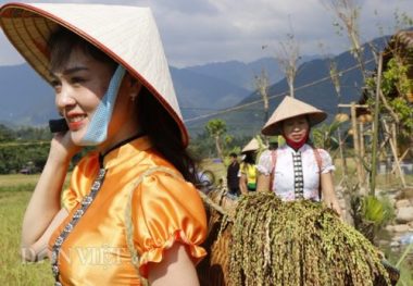 thu sang, tu le lai ron tieng chay gia com, lang ban quyen mui thom hinh anh 6