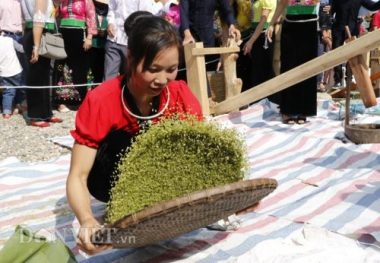 thu sang, tu le lai ron tieng chay gia com, lang ban quyen mui thom hinh anh 11