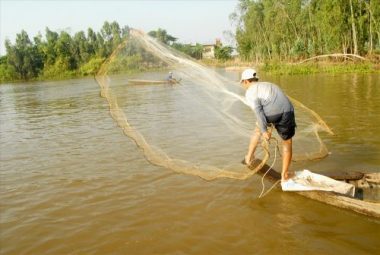 dac san mua nuoc noi: sao lai goi la ca linh, cach nao de bat ca linh? hinh anh 6