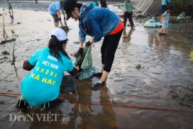 clip: hang tram ban tre trong 8.000 cay ban phuc hoi rung ngap man hinh anh 11