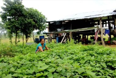 mua dong "lap lo" dan o day ra ngu ray dem nghe mang keu, vuon hu hinh anh 1