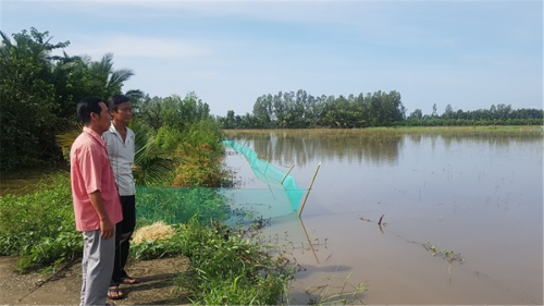 nuoi ca ruong mua nuoc noi, sau 3-4 thang bat hang tan hinh anh 1