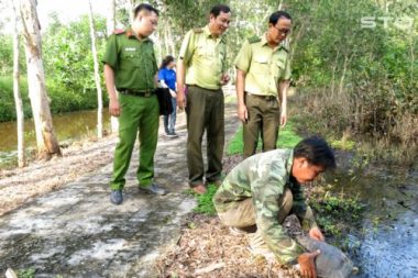 soc trang: di tha luoi bat duoc rua rang quy hiem hinh anh 1