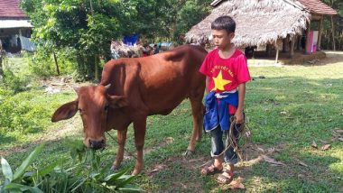 xot xa canh 3 dua tre song cung ba, me trong ngoi nha chuc sap hinh anh 8