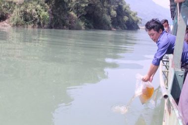 tinh ha giang thong bao da nhan giong thanh cong ca anh vu hinh anh 2