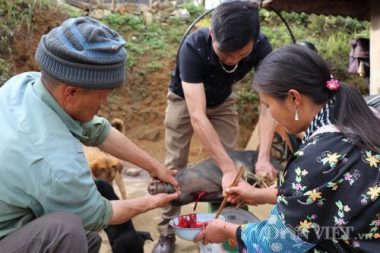 nguoi mong mo lon, mo ga va gia banh day don tet hinh anh 3