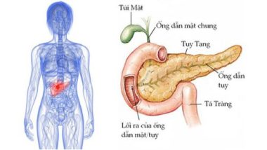 Bộ phận này càng to, báo hiệu lá gan, tuyến tụy đang dần suy kiệt