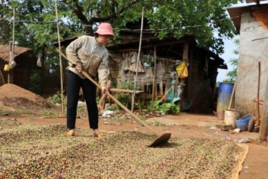 Người vợ bệnh tim chôn chặt nỗi đau mất chồng, nức nở xin con từ bỏ kỳ thi quốc gia - 7