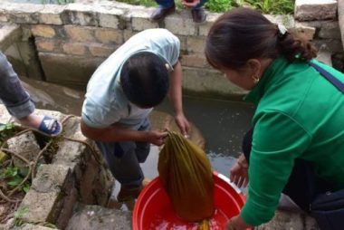 Nghề 'săn lộc trời' kiếm hàng chục triệu đồng mỗi ngày ở Hải Phòng