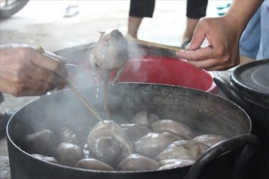 Hải Phòng: 'Chuột thủ' tiết lộ kĩ nghệ săn chuột thu nửa tạ mỗi ngày