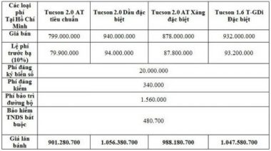 gia-lan-banh-hyundai-tucson-hcm