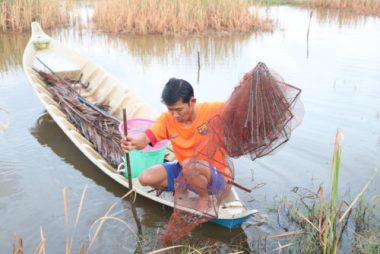 Mưa trái mùa lớn, vừa mừng vừa lo cho bà con nông dân - Ảnh 1.