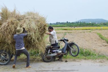 Điểm lưu ý khi đi lại, kiếm sống ở các tỉnh nhóm 3 giai đoạn cách ly mới