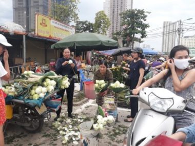 Tết Đoan Ngọ sen trắng cháy hàng, 100 ngàn/bó khách tranh nhau