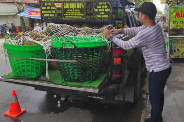 'Ngọc sầu riêng' đem xe tiền tỷ đi bán sầu rong, lời 2 triệu/ngày