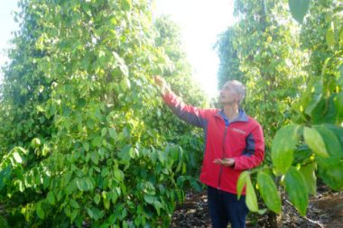 Điều nông dân muốn gửi gắm đến Thủ tướng - Ảnh 3.