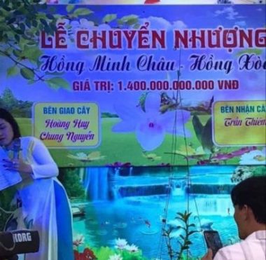 Náo loạn giao dịch hoa lan vài chục tỷ đồng: Làm giàu nhanh hơn buôn đất?