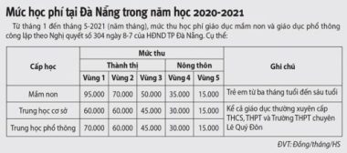 Đà Nẵng miễn 4 tháng học phí cho học sinh do COVID-19 - ảnh 2