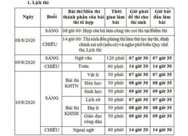 Gần 900.000 thí sinh bắt đầu môn thi Ngữ văn kỳ thi tốt nghiệp THPT 2020 - Ảnh 2.