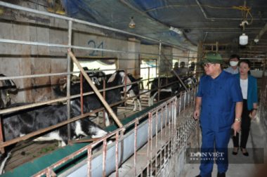 Chủ tịch Hội Nông dân Việt Nam thăm trại dê ngoại nghìn con ở Việt Nam - Ảnh 5.