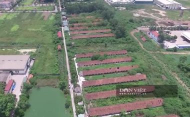 Chủ tịch Hội Nông dân Việt Nam thăm trại dê ngoại nghìn con ở Việt Nam - Ảnh 3.