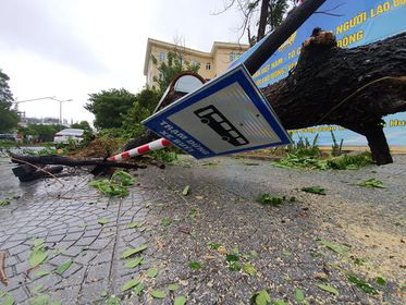 Miền Trung mưa lớn kèm sấm chớp, đường Đà Nẵng ngập, Huế đã có thiệt hại - Ảnh 5.