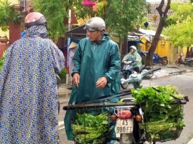 Hội An: Sau lũ lớn, rau xanh khan hiếm, giá tăng mạnh