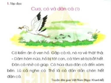 Chủ tịch Hội đồng thẩm định sách Tiếng Việt: Chuyện 'Bốn cái làn' là bịa đặt