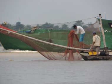 Các hoạt động khai thác cá quá mức của con người đã làm cạn kiệt nguồn cá trong tự nhiên