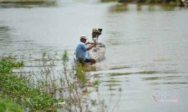 Miền Tây 'đói lũ': Đồng ruộng bỏ hoang, cá tôm èo ọt