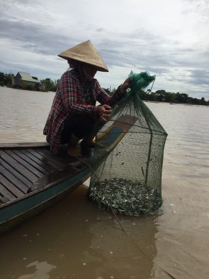 Những người con miền Tây xa xứ sẽ được thưởng thức đặc sản cá linh ngay khi không được về quê - Ảnh 3.