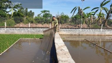 Thái Bình: Nuôi con cứ bắt lên là thụt đầu trốn, lão nông kiếm nhẹ cả nửa tỷ đồng/năm. - Ảnh 3.