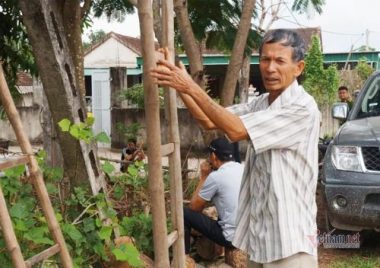 Tiền điện tăng hàng chục lần, gia đình nông dân chật vật tìm cách trả