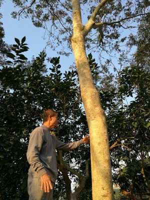 'Kho báu' nghìn tỷ dưới thung lũng của lão nông Tuyên Quang bây giờ ra sao?