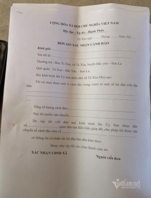 Đào rừng tê liệt: Dân buôn nằm im, nông dân bế tắc lo mất Tết