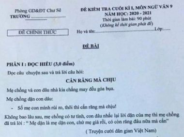 Xôn xao đề thi Văn bàn 'mẹ chồng tư tình' và 'giúp bạn khóc'