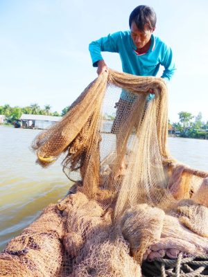 Xóm lặn 'độc nhất' miền Tây, bắt cá hô 'khủng' 200 kg