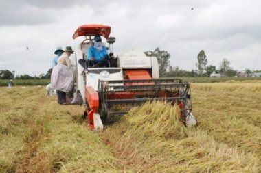 Thủ tướng Nguyễn Xuân Phúc nêu chiến lược '8G' trong phát triển ĐBSCL - Ảnh 2.