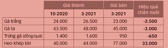 Người chăn nuôi lao đao vì giá thức ăn tăng chóng mặt - Ảnh 2.