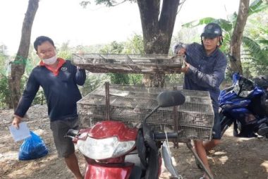 Chợ chuột đồng ở vùng biên 'bán bao nhiêu mua hết bấy nhiêu'