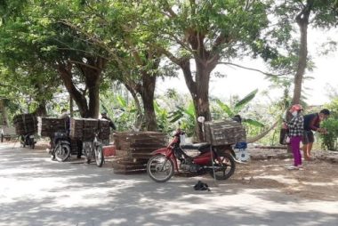 Chợ chuột đồng ở vùng biên 'bán bao nhiêu mua hết bấy nhiêu'