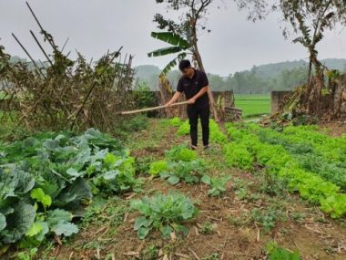 Giọt nước mắt nghẹn ngào của cô giáo chủ nhiệm thương cậu học trò mồ côi - 3