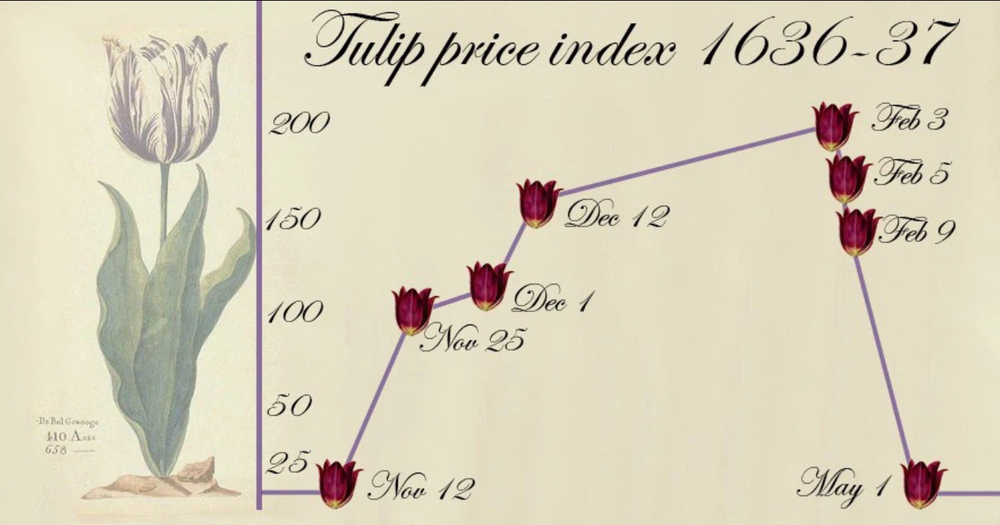 Sốt lan đột biến, giấc mộng 'ôm lan đổi đời' và lời cảnh báo 'bong bóng tulip' gần 400 năm trước