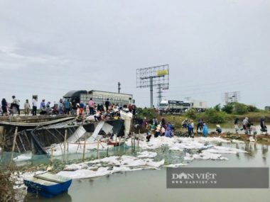 Người dân Quảng Bình gom, mua dưa hấu giúp tài xế khi xe tải lật bên đường - Ảnh 2.