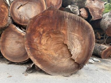 Lãnh đạo Bệnh viện Bạch Mai: "Không có mất mát hy sinh nào mà không có kết quả" - Ảnh 11.